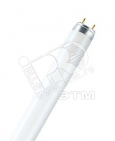 Лампа линейная люминесцентная ЛЛ 30вт L30/640 G13 белая Osram