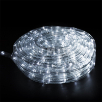 Дюралайт LED, свечение с динамикой (3W), 24 LED/м, белый, 14м