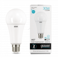 Лампа светодиодная LED-30Вт E27 4100K Elementary A67 Gauss