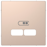 Накладка центральная MERTEN D-Life для USB механизма 2.1А шампань