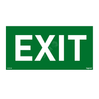 Пиктограмма  100х200 Exit