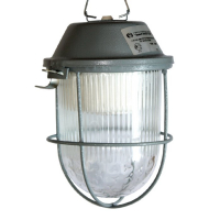 Светильник светодиодный ДСП-01-09-002 36В IP54    Желудь LED Элетех