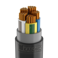 Кабель силовой ВВГнг(А)-LS 5*50 мк(N,PE)-0,66