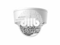 Видеокамера 2Мп уличная купольная IP-камера с HDMI выходом и EXIR-подсветкой до 30м 1/2.8''