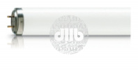 Лампа TL 120W/01