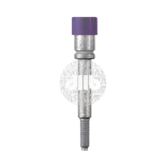 Гнездо STB 30.5 IH/VI