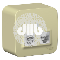 Розетка открытой установки BLANCA двойная компьютерная RJ45, кат.5E, с изолирующей пластиной, белый,