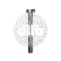 Крепежный винт BFSC M4X6 MS