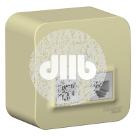 Розетка открытой установки BLANCA двойная, компьютерная RJ45, кат.5E + телефонная RJ11, с изолирующе