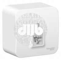 Розетка BLANCA наружная компьютерная RJ45, кат.5e, с изолирующей пластиной, белый