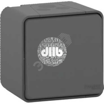 MUREVA S переключатель открытой установки, антрацит, IP55