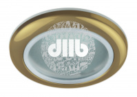 WR1 GD Светильник влагозащищенный MR16,12V220V, 50W золото (100/2000) ЭРА